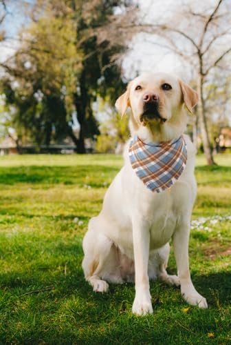 Fall Dog Bandana Autumn Thanksgiving Plaid Reversible Triangle Bibs Scarf
