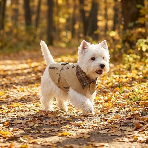 Lightweight Dog Trench Coat, Breathable British Style Puppy Windbreaker, Designer Plaid Pet Sun Protection Clothes for Small Dogs, Spring Autumn Outfit(S)