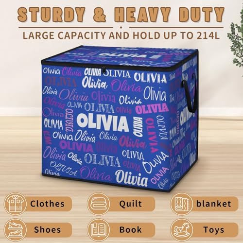 Personalized Name Foldable Storage Basket Cubes with Lid, Laundry Hamper Dirty Clothes Pet Toys Storage Bin with Handles for Shelf Home Closet Kitchen, Pink Purple Names Navy Blue Background