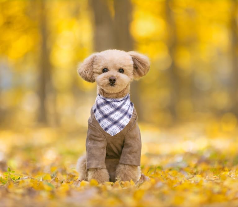 Fall Dog Bandana Autumn Thanksgiving Plaid Reversible Triangle Bibs Scarf