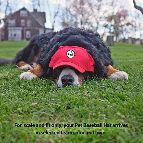Littlearth Unisex NHL Pet Baseball Hat