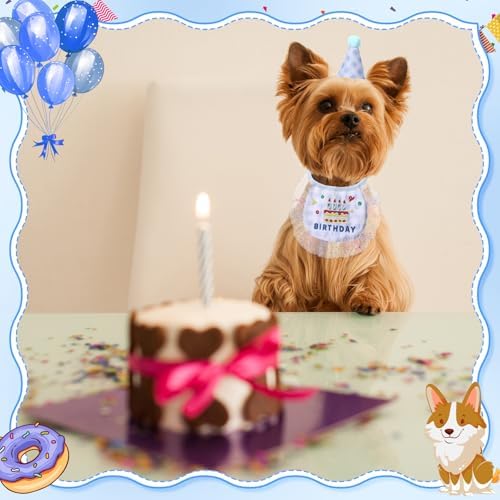 Chicingyou Dog Birthday Outfit Set Lace Bib Number Stickers, Cake, Blue