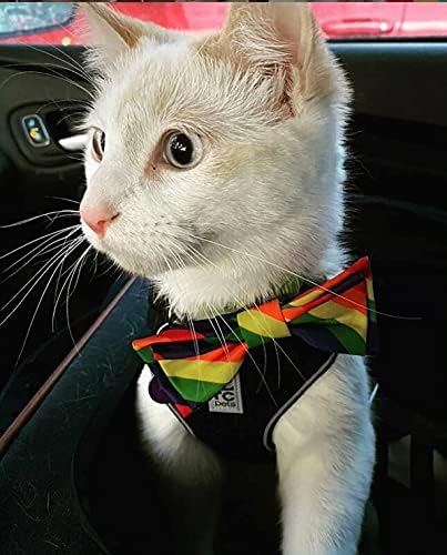 Huxley & Kent Pet Bow Tie for Dogs & Cats - PrideTheme Adjustable Hook & Loop Collar Accessory - Cute & Comfortable for Holidays & Celebrations - Pride Equality, Extra-Large | Hook & Loop Attaches to Any Collar, Soft Polyester, Lightweight & Machine Wa...