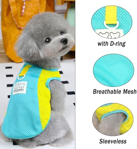 PAIDEFUL Mesh Tank Top for Small Dogs, Green, XL