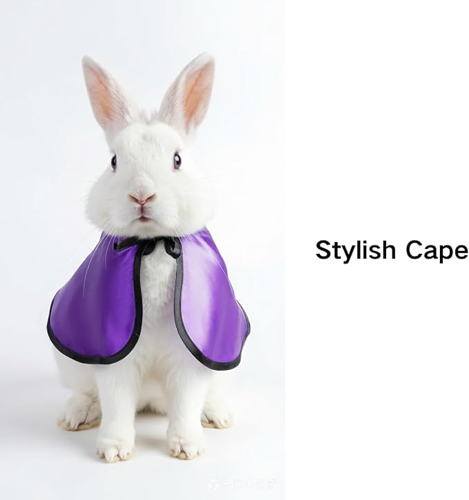 2PCS Halloween Costume Set for Pet Rabbits, Satin Wizard Cape, Adjustable Bat Mask, Holiday Costumes for Small Pets, Photo Prop Set (Large)