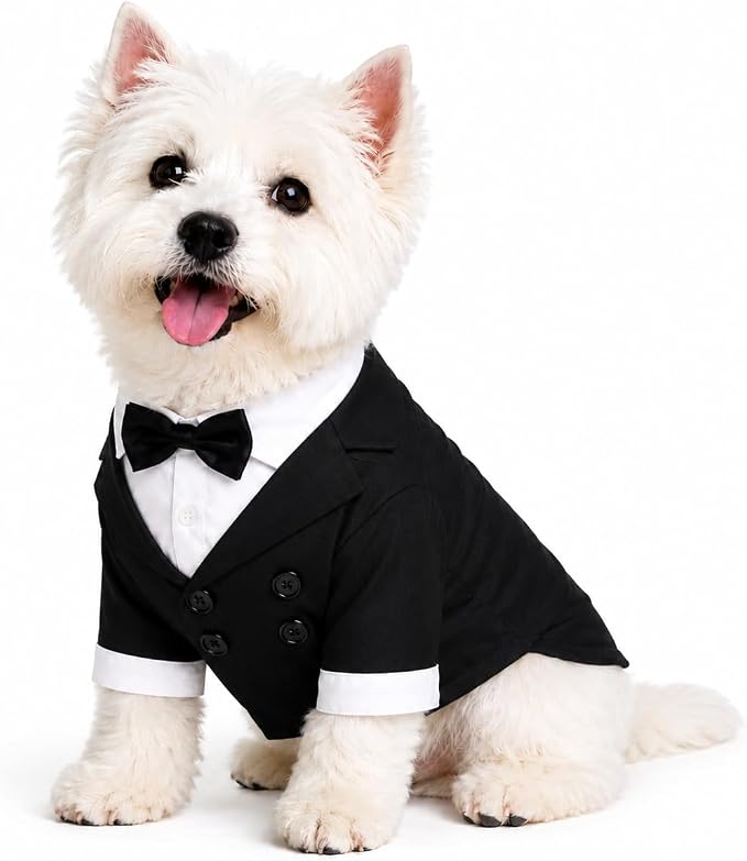 Lovelonglong Pet Costume Dog Suit Formal Tuxedo with Black Bow Tie for Small Dogs Toy Poodle Clothing Black M