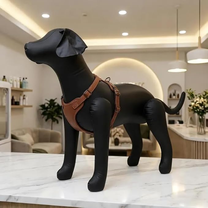 Toddmomy Inflatable Dog Mannequin - Black Waterproof PVC Self-Standing Medium Dog Dress Form for Pet Clothing Display E-Commerce Photography Trade Shows Labrador Doberman