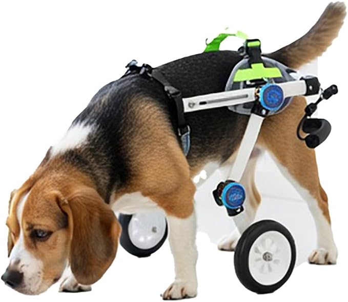 Pet Wheelchair Mobility Support Dog Cart for Back Legs Adjustable Lightweight Lightweight Aluminum Pet Walker for Paralysis Assistance & Post Injury Recovery