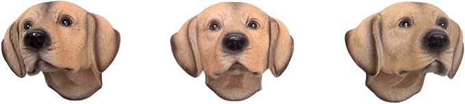 Wowser Labrador Retriever Leash Hangers, Set of 3 – Realistic Dog Wall Hooks for Leashes, Collars, Harnesses, Keys & Pet Accessories, Decorative Labrador Wall Decor for Entryway, Mudroom & Home