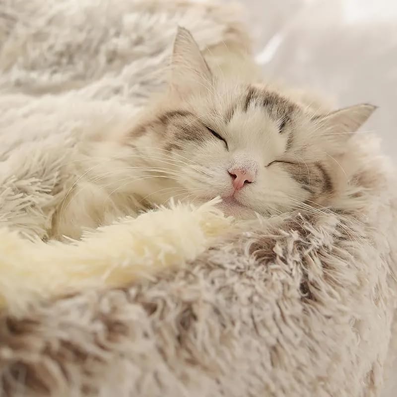 Round Fluffy Hooded Cat Bed Cave, Anti-Anxiety Cave Bed with Blanket | Hooded Cat Bed Cave, Cozy Cuddler Luxury Puppy Pet Bed, Anti-Slip Bottom and Machine Washable
