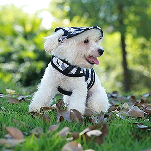 Leconpet Baseball Caps Hats with Neck Strap Adjustable Comfortable Ear Holes for Small Medium and Large Dogs in Outdoor Sun Protection (S, Blue Letters)
