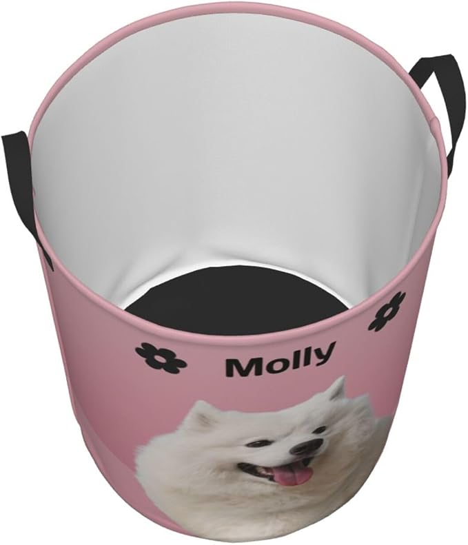 Personalized Large Dog Toy Storage Basket Bin Collapsible Custom Pet Stuff Box Chest Container for Living Room Organizer for Dog Toys,Dog Food,Blankets,Clothing (Pink)