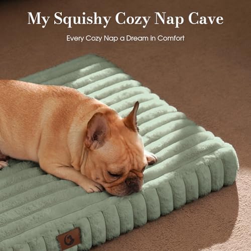 Dog Beds for Large Sized Dog, Orthopedic Foam with Waterproof Lining | Egg crate foam for joint support. Soft plush surface. Non-slip bottom. Removable & machine washable cover. OEKO-TEX certified