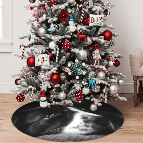 Christmas Tree Skirt, Soft Polyester Xmas Tree Skirts with Ribbon Ties, Rustic Farmhouse Holiday Intense Dog Emotion Down Border Doggy Collie Mix Pet Attentive Australian Design Ears 30"