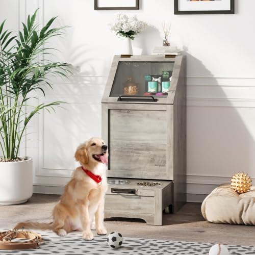 Elevated Dog Feeding Station – 2 Bowls, Storage Cabinet, Gray