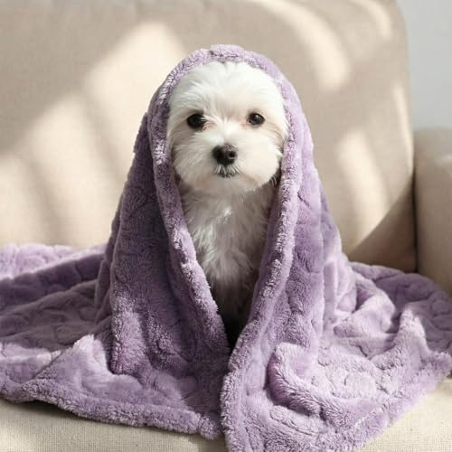 Tegeme 3 Pcs Small Dog Blanket 280 GSM Washable Pet Bed Cover Soft Fluffy Puppy Blanket 3D Textured Heart Checkered Pattern Fleece Soft Cat Plush Pet Throws for Kitten Doggy(Classic Colors,30"×40")