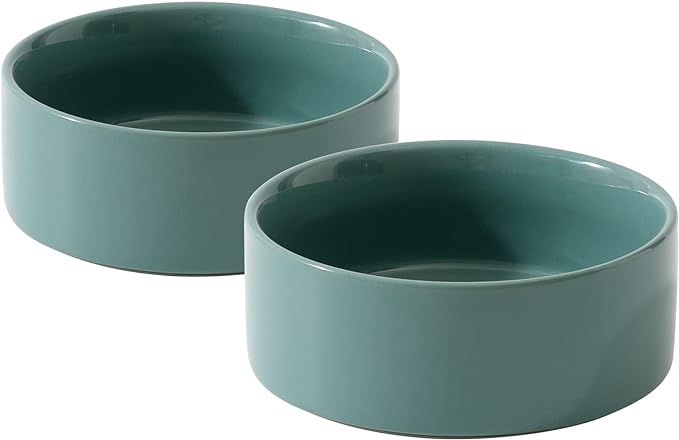 Havniva Ceramic Set of 2 Cat Bowls, Food and Water Bowls for Cats, Kitty, 2pcs Cat Dishes, Pet Feeder(5.1inch, 2 x Light Green Bowls)
