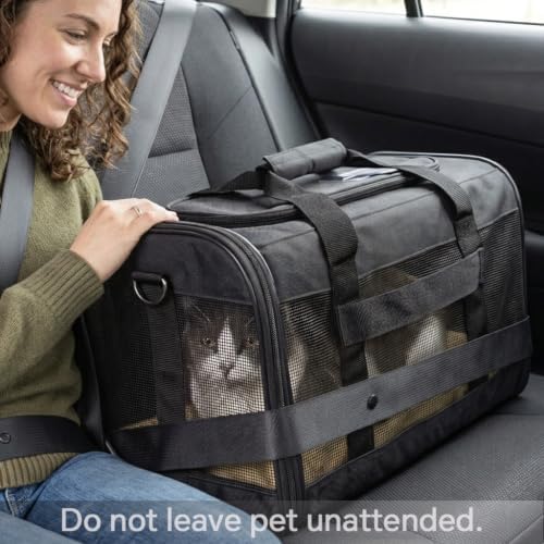 Conlun Dog Carrier Soft Sided, Large Cat Carrier up to 20 Lbs,Turq L | with Inner Safety Leash, Pet Transport Carrier for Large Cats and Medium Dog, Collapsible Puppy Carrier Bag