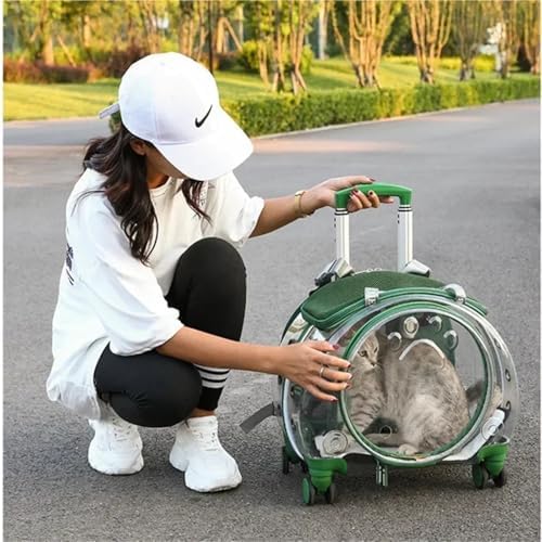 Portable Multifunctional Pet Trolley Case Visible Transport Crate Transparent and Comfortable Basket