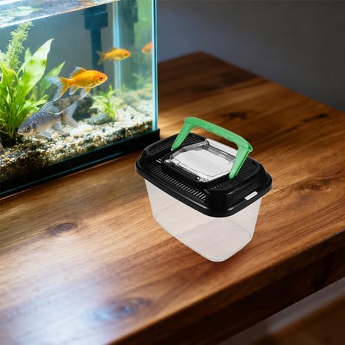 Plastic Reptile Terrarium Container with Cover, Handheld Habitat Box | Breeding Storage Bin, Hatching and Feeding Use, for Spider and Small Pet Keeping at Home