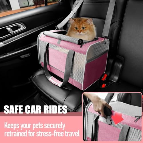 GAPZER Large Cat Carrier Soft, Collapsible Travel Pet Carry Bag, Small Dogs | Big Kitten Cat 20lbs Mainecoon, Top Open Travel Shih-Tzu Pet Kennel, Yorkie Small Dog 10 Pounds, 18x12x12, Durable Cloth Pink