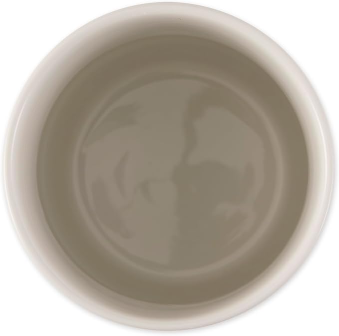 Bone Dry Ceramic Pet Treat Canister, Dishwasher Safe, 4x6.5 Pansy Petite Check