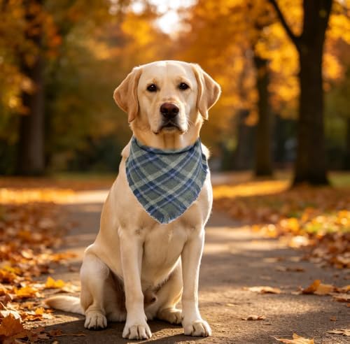 Fall Dog Bandana Autumn Thanksgiving Plaid Reversible Triangle Bibs Scarf