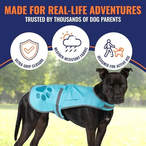 Reflective Dog Vest, Hi Vis Safety Gear for Low-Light Morning & Night Walks