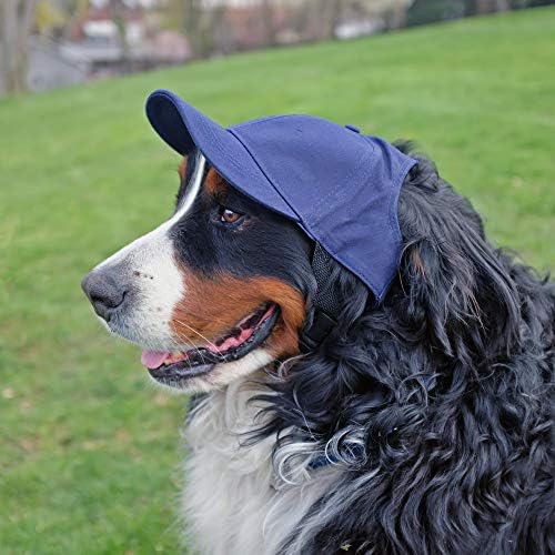 Littlearth Unisex NHL Pet Baseball Hat