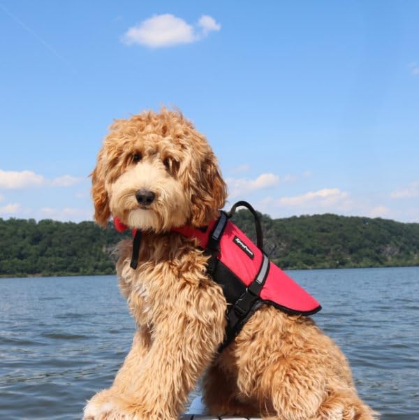 ZippyPaws Adventure Dog Life Jacket - Dog Life Vest for Swimming & Boating | Fits Pets, Lightweight Dog Flotation Device for Water Safety, Padded Handle, Adjustable Fit, 6-10" - XX-Small, Red