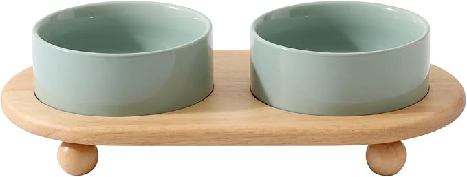 Havniva Ceramic Elevated Cat Food and Water Bowl, Kitty Bowl, Raised Cat Dish, Pet Feeder (5.1 in, 2 x Light Green + Stand)