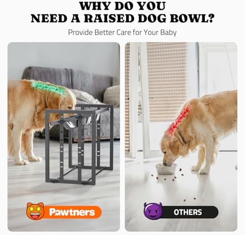 Pawtners Elevated Dog Bowl for Medium Breed, Adjustable Raised Feeder, Grey