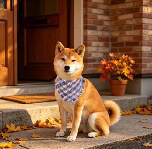 Fall Dog Bandana Autumn Thanksgiving Plaid Reversible Triangle Bibs Scarf