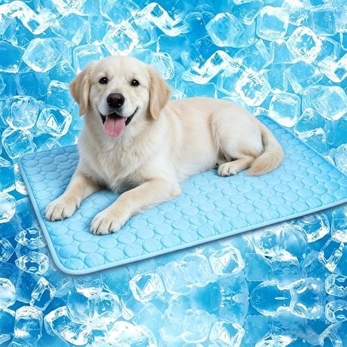 Portable Dog Cooling Mat, Q-Max 0.4 Non Slip Washable Pet Bed Pad | Fortable Washable Cooling Mat for Dogs, Fits Small Medium Large Dogs Cats Indoor Outdoor Use Heat Relief Pet Cool Bed