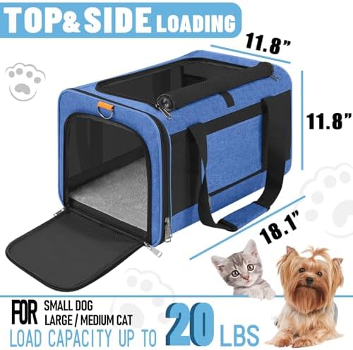 GAPZER Large Cat Carrier Soft, Collapsible Travel Pet Carry Bag, Small Dogs | Large Kitty Cat 20 lbs Maine Coon, Top Load Transport Small Puppy Dog Kennel, Yorkie Little Dog 10lbs, Sturdy Fabric Blue