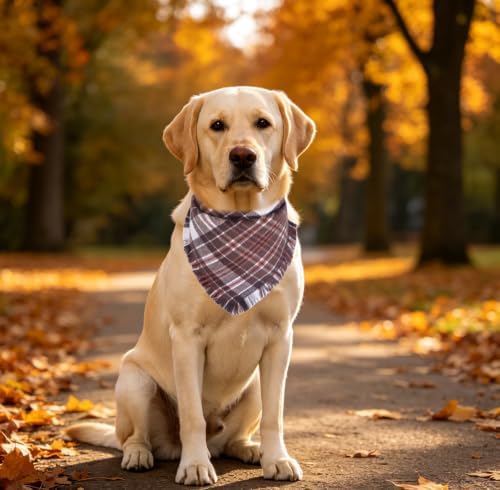 Fall Dog Bandana Autumn Thanksgiving Plaid Reversible Triangle Bibs Scarf