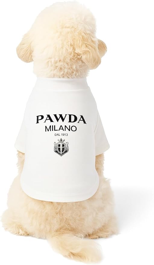 Dog T-Shirts for Small Dogs, Designer Dog Clothes, Luxury Lightweight Tee | Dog T-shirts for small dogs; soft lightweight designer dog clothes with luxury comfort for Chihuahuas, Yorkies and Dachshunds