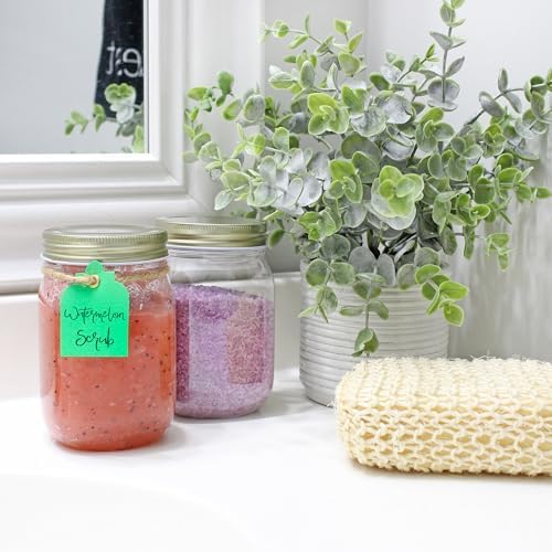 Cornucopia Brands 16oz Clear Plastic Mason Jars (8-Pack, Gold Metal Lids); PET BPA-Free Mason Style w/One Piece Lids, 2-Cup/Pint Capacity