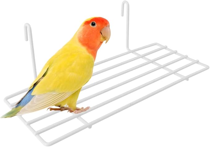 Mipcase 3pcs Iron Frame Bird Perch Shelf for Parrots Easy to Install Wall Decoration Sturdy Grid Wall Stand Practical Display for Plants and Pet Accessories White