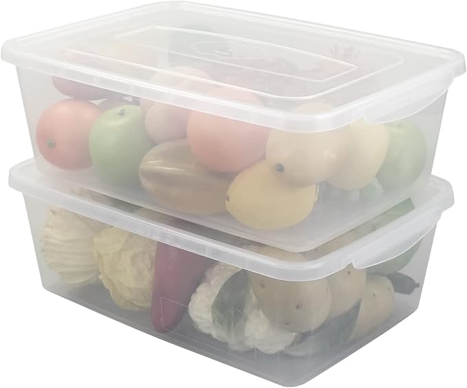 16 Quart Clear Storage Bin, Plastic Tubs with Lids Storage, 2-Pack | Full Transparent Container, Stackable, Durable Box, Food Container, Organizer Bin, Shoe Box, Proofing Container