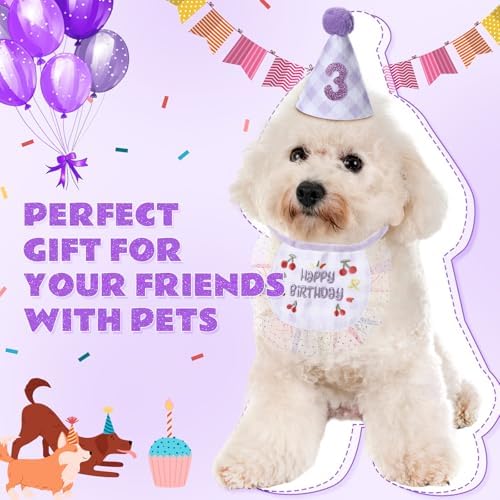 Chicingyou Dog Birthday Outfit Set Lace Bib Number Stickers, Cute, Purple