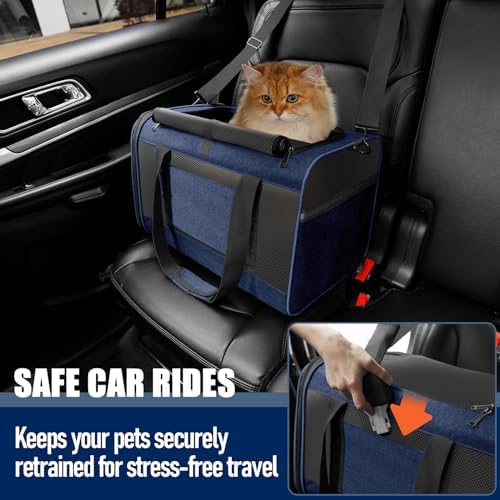 GAPZER Large Cat Carrier Soft, Collapsible Travel Pet Carry Bag, Small Dogs | Large Cats up to 20 lbs+ Maine Coon, Top Load Transport Small Puppy Dog Crate, Chihuahua Mini Dog 10lbs, Sturdy Fabric Navy