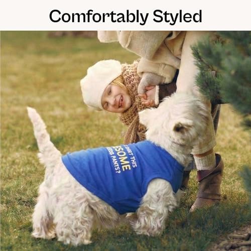 Parisian Pet Dog Tshirt - Embroidered “ Awesome “ Tank Top - Pure Cotton and Lightweight Dog Clothes - Blue Pet Vest - Sleeveless Tee Shirts for Small Dogs Boy