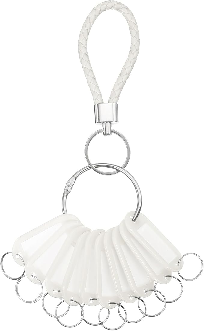 PATIKIL Key Tags with Labels, Key Organizer Keychain Markers Tags Holder with Bold Steel Ring and Braided Strap for Office