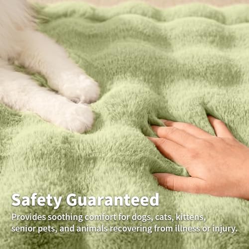 SOMAHE Soft Faux Fur Pet Blanket, Washable, Medium 28x22 Fruit Green