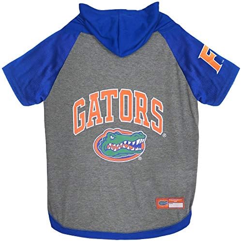 Florida Hoodie Tee Shirt