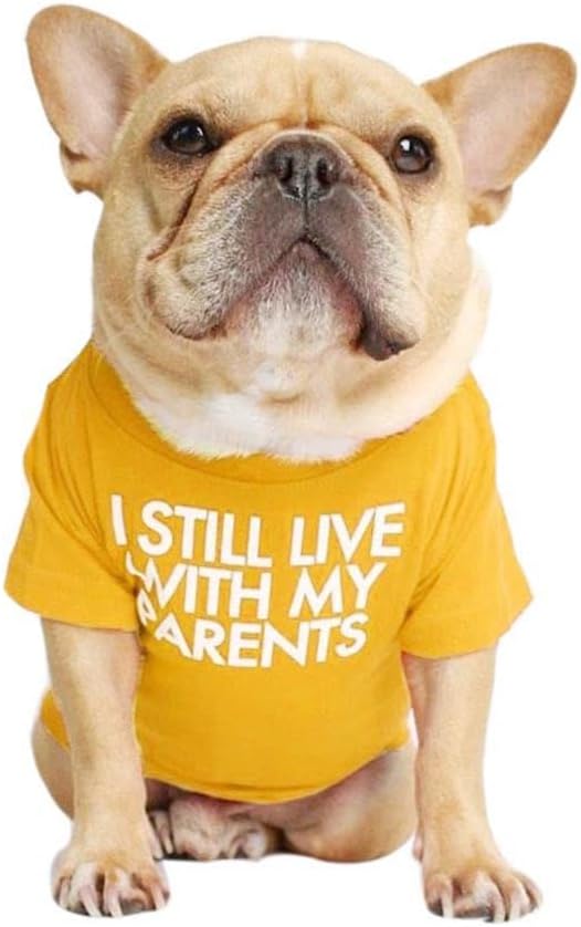 French Bulldog Shirt for Small Dog Clothes Breathable Stretchy Costumes | Miss Pet,I Still live With My Parents Printed Puppy T-Shirts Cat Tee