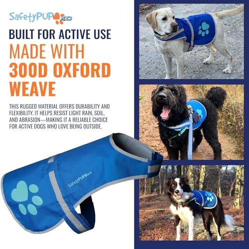 Reflective Dog Vest, Hi Vis Safety Gear for Low-Light Morning & Night Walks