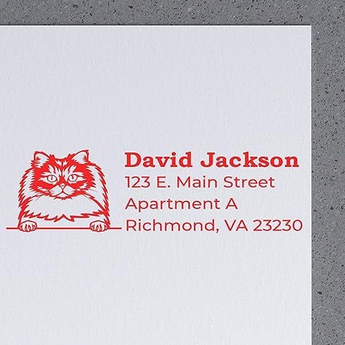 British Longhair Cat Custom Self-Inking Address Stamp for File Folders & Return Labels, Decorative New Address Stamper with Feline Design, Personalized Home Office Mail Organizer, 7/8 X 2-1/4 inch