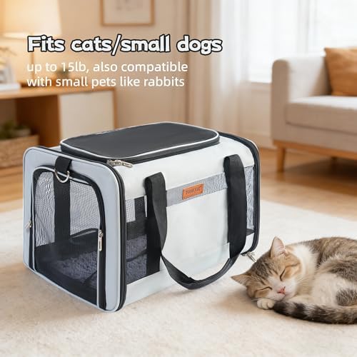 YUNIQUE Soft-Sided Cat & Dog Carrier for Pets Up to 15 Lbs, Airline Approved Collapsible Travel Puppy Carrier with Lightweight Fabric Design (lightgrey)